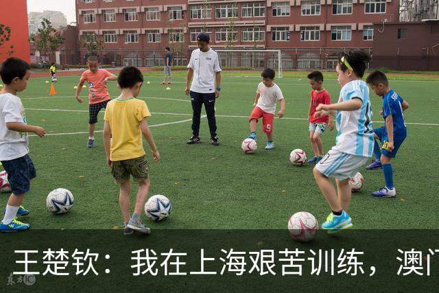 王楚钦：我在上海艰苦训练，澳门赛我不是逃避，而是战略调整！